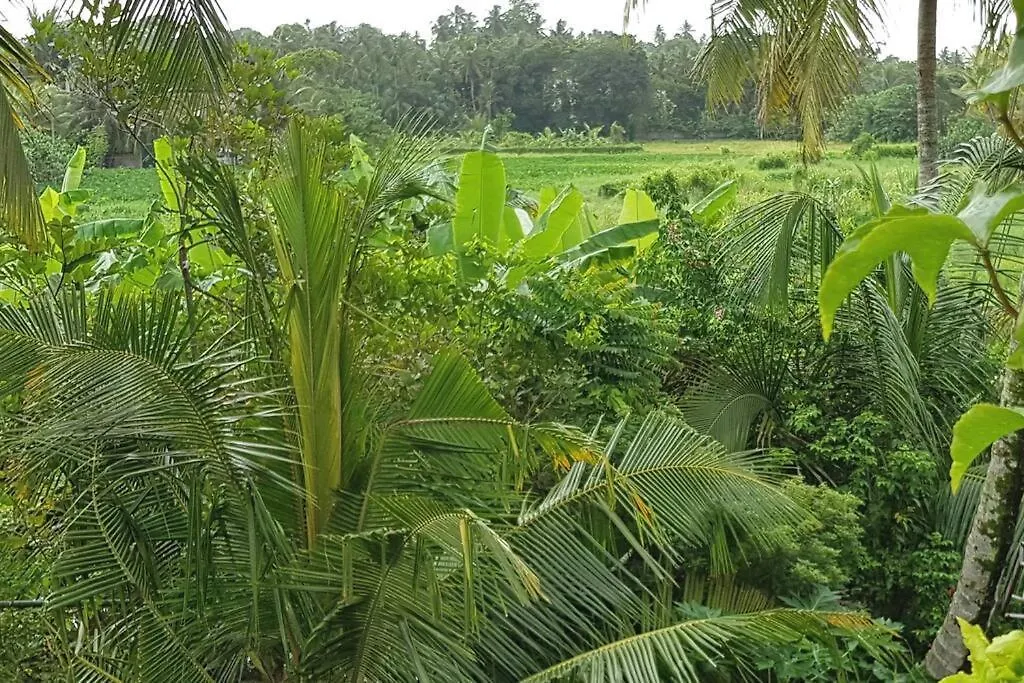 Greenheart Villa- Top Floor, Specious 3Br-1Br Ac - Hot W, Peace In Greenary & Fresh Air -Travel Awards 2025 Maharagama