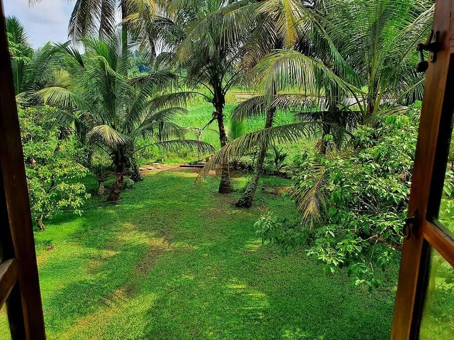 Greenheart Villa- Top Floor, Specious 3Br-1Br Ac - Hot W, Peace In Greenary & Fresh Air -Travel Awards 2025 Maharagama Apartamento