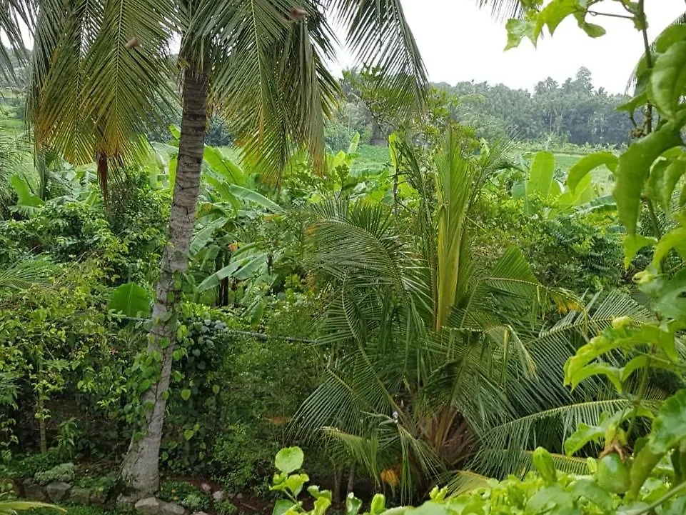 Greenheart Villa- Top Floor, Specious 3Br-1Br Ac - Hot W, Peace In Greenary & Fresh Air -Travel Awards 2025 Maharagama 0*,  Sri Lanca