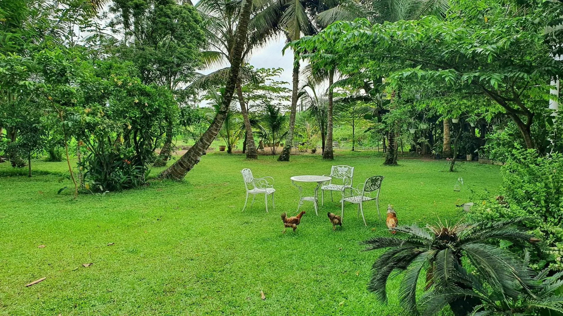 Greenheart Villa- Top Floor, Specious 3Br-1Br Ac - Hot W, Peace In Greenary & Fresh Air -Travel Awards 2025 Maharagama 0*,  Sri Lanca
