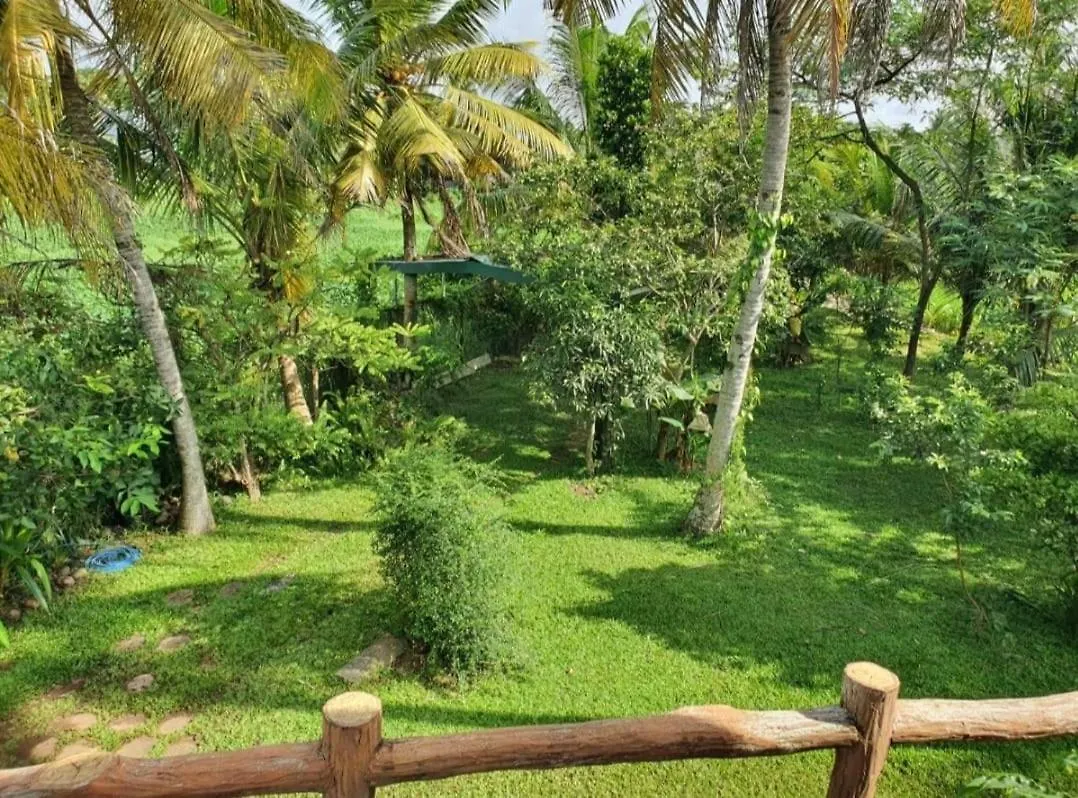 Greenheart Villa- Top Floor, Specious 3Br-1Br Ac - Hot W, Peace In Greenary & Fresh Air -Travel Awards 2025 Maharagama 0*,