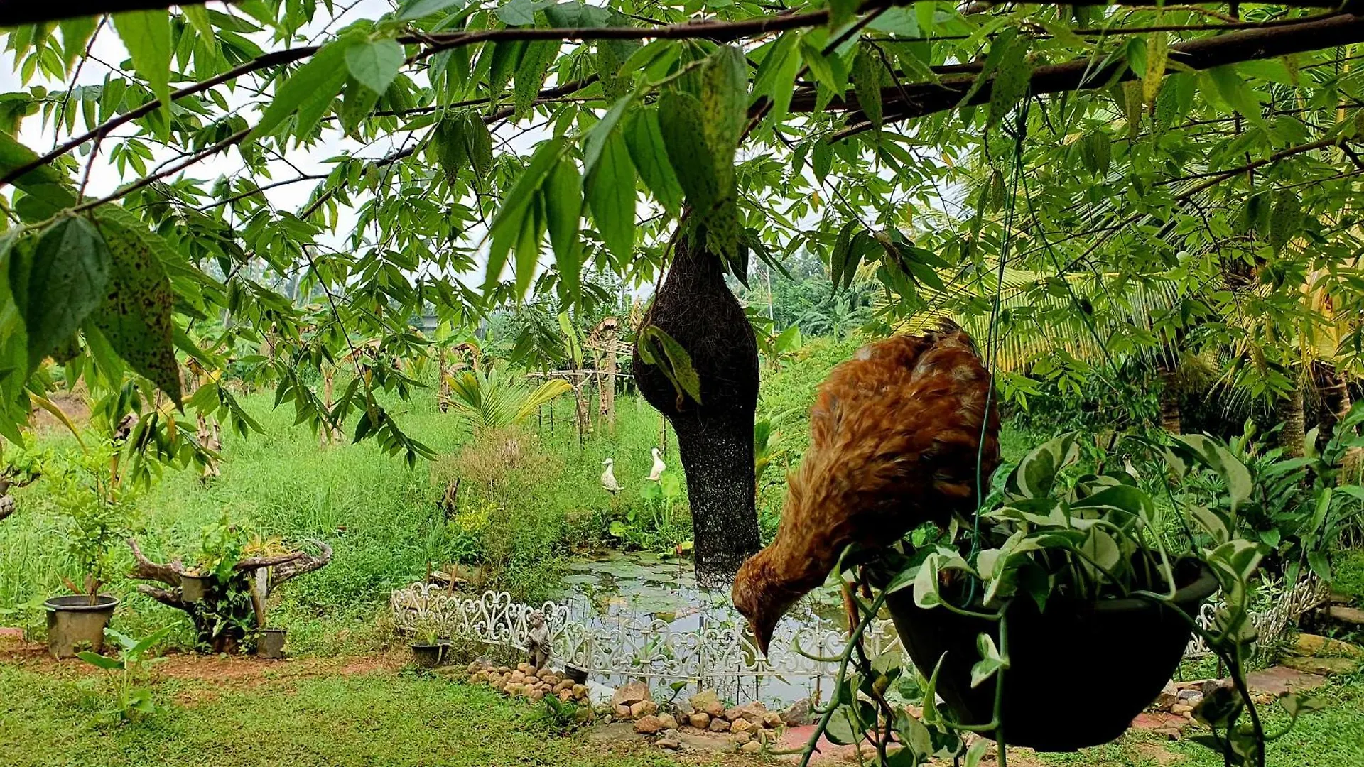 Apartment Greenheart Villa- Top Floor, Specious 3Br-1Br Ac - Hot W, Peace In Greenary & Fresh Air -Travel Awards 2025 Maharagama